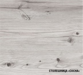 АСАЯ Кухонный гарнитур Экстра 2 (3000 мм) ПМ в Южноуральске - yuzhnouralsk.ok-mebel.com | фото 8