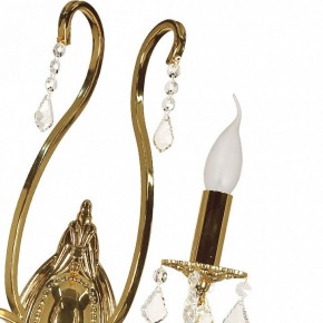 Бра Arti Lampadari Ercolano Ercolano E 2.1.2.602 G в Южноуральске - yuzhnouralsk.ok-mebel.com | фото 8