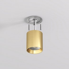 DK2610-SB Накладной светильник SHINE TUBE со светодиодом, D70*H80, IP20, 3000К, 10W, RA?90, сатинированная латунь, алюминий в Южноуральске - yuzhnouralsk.ok-mebel.com | фото 3