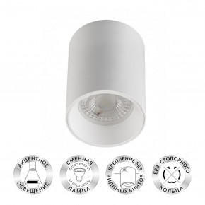 DK3110-WH Светильник накладной IP 20, 10 Вт, GU5.3, LED, белый, пластик в Южноуральске - yuzhnouralsk.ok-mebel.com | фото
