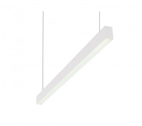 DK9124-WH Линейный светильник 30W 1250mm 4000K, белый в Южноуральске - yuzhnouralsk.ok-mebel.com | фото