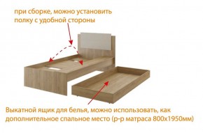 Дуглас (подростковая) М14 Кровать в Южноуральске - yuzhnouralsk.ok-mebel.com | фото 5
