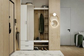 Гарнитур для прихожей Торонто в Южноуральске - yuzhnouralsk.ok-mebel.com | фото 5