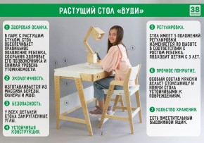 Комплект растущий стол и стул с чехлом 38 попугаев «Вуди» (Белый, Белый, Лазурь) в Южноуральске - yuzhnouralsk.ok-mebel.com | фото 3