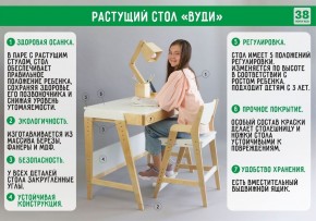 Комплект растущий стол и стул с чехлом 38 попугаев «Вуди» (Серый, Береза, Салют) в Южноуральске - yuzhnouralsk.ok-mebel.com | фото
