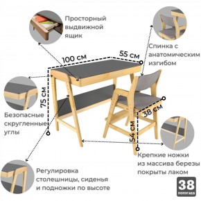 Комплект растущий стол и стул с чехлом 38 попугаев «Вуди» (Серый, Береза, Серый) в Южноуральске - yuzhnouralsk.ok-mebel.com | фото