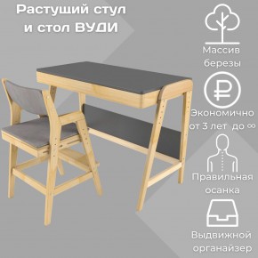 Комплект растущий стол и стул с чехлом 38 попугаев «Вуди» (Серый, Без покрытия, Серый) в Южноуральске - yuzhnouralsk.ok-mebel.com | фото 1