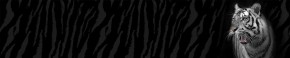 Кухонный фартук Фауна 055 МДФ матовый (3000) Fauna в Южноуральске - yuzhnouralsk.ok-mebel.com | фото 1