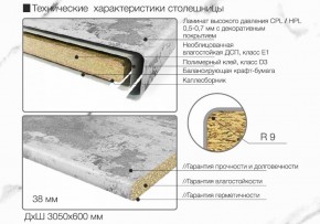 Кухонный фартук со столешницей (А-010) в едином стиле (3050 мм) в Южноуральске - yuzhnouralsk.ok-mebel.com | фото 7