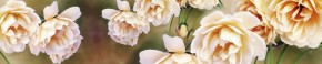 Кухонный фартук Цветы 066 МДФ матовый (3000) Flowers в Южноуральске - yuzhnouralsk.ok-mebel.com | фото 1