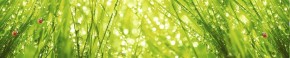 Кухонный фартук Цветы 115 МДФ матовый (3000) Flowers в Южноуральске - yuzhnouralsk.ok-mebel.com | фото 1