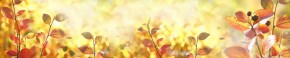 Кухонный фартук Цветы 318 МДФ матовый (3000) Flowers в Южноуральске - yuzhnouralsk.ok-mebel.com | фото