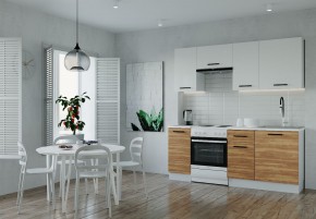 Кухонный гарнитур Лада 2000 (Стол. 38мм) в Южноуральске - yuzhnouralsk.ok-mebel.com | фото