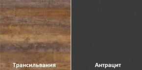Кухонный гарнитур угловой Трансильвания 2600х1600 мм (Стол. 38 мм) в Южноуральске - yuzhnouralsk.ok-mebel.com | фото 3