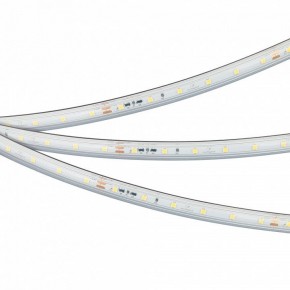 Лента светодиодная Arlight IC-PS-A60-10mm 24V 050656 в Южноуральске - yuzhnouralsk.ok-mebel.com | фото