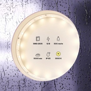 Лента светодиодная Maytoni Led strip 10105 в Южноуральске - yuzhnouralsk.ok-mebel.com | фото 2
