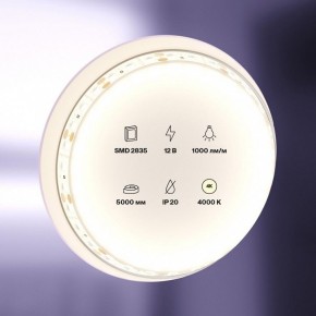 Лента светодиодная Maytoni Led strip 10109 в Южноуральске - yuzhnouralsk.ok-mebel.com | фото 2