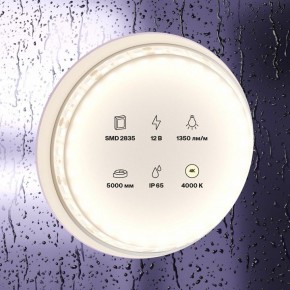 Лента светодиодная Maytoni Led strip 10118 в Южноуральске - yuzhnouralsk.ok-mebel.com | фото 2