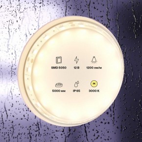 Лента светодиодная Maytoni Led strip 10131 в Южноуральске - yuzhnouralsk.ok-mebel.com | фото 2