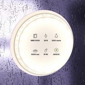Лента светодиодная Maytoni Led strip 10172 в Южноуральске - yuzhnouralsk.ok-mebel.com | фото 2