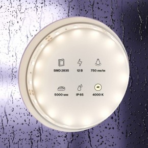 Лента светодиодная Maytoni Led strip 20005 в Южноуральске - yuzhnouralsk.ok-mebel.com | фото 2