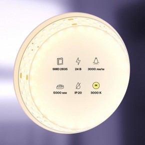 Лента светодиодная Maytoni Led strip 20031 в Южноуральске - yuzhnouralsk.ok-mebel.com | фото 2
