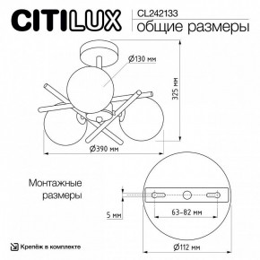 Люстра на штанге Citilux Ronny CL242133 в Южноуральске - yuzhnouralsk.ok-mebel.com | фото 7