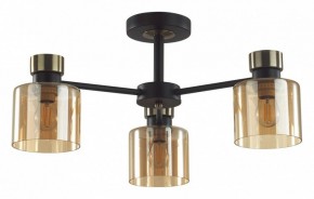 Люстра на штанге Lumion ARLIN 5643/3C в Южноуральске - yuzhnouralsk.ok-mebel.com | фото