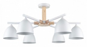 Люстра на штанге Lumion Colange 8095/6C в Южноуральске - yuzhnouralsk.ok-mebel.com | фото