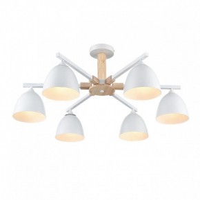 Люстра на штанге Lumion Colange 8095/6C в Южноуральске - yuzhnouralsk.ok-mebel.com | фото 3