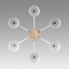 Люстра на штанге Lumion Colange 8095/6C в Южноуральске - yuzhnouralsk.ok-mebel.com | фото 4