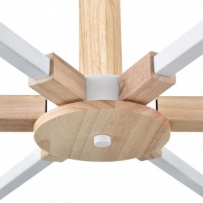 Люстра на штанге Lumion Colange 8095/6C в Южноуральске - yuzhnouralsk.ok-mebel.com | фото 7