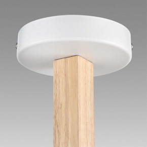 Люстра на штанге Lumion Colange 8095/6C в Южноуральске - yuzhnouralsk.ok-mebel.com | фото 8
