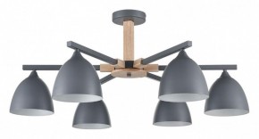 Люстра на штанге Lumion Colange 8096/6C в Южноуральске - yuzhnouralsk.ok-mebel.com | фото