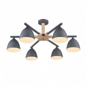 Люстра на штанге Lumion Colange 8096/6C в Южноуральске - yuzhnouralsk.ok-mebel.com | фото 3