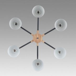 Люстра на штанге Lumion Colange 8096/6C в Южноуральске - yuzhnouralsk.ok-mebel.com | фото 4
