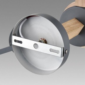 Люстра на штанге Lumion Colange 8096/6C в Южноуральске - yuzhnouralsk.ok-mebel.com | фото 6
