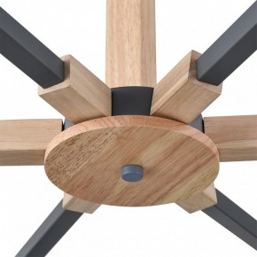 Люстра на штанге Lumion Colange 8096/6C в Южноуральске - yuzhnouralsk.ok-mebel.com | фото 7