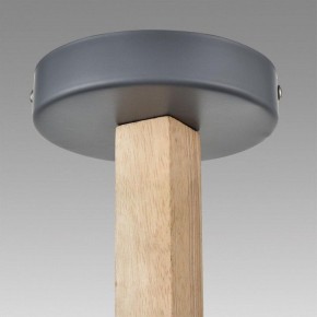 Люстра на штанге Lumion Colange 8096/6C в Южноуральске - yuzhnouralsk.ok-mebel.com | фото 9