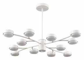 Люстра на штанге Lumion TORINA 8265/12 в Южноуральске - yuzhnouralsk.ok-mebel.com | фото