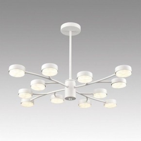 Люстра на штанге Lumion TORINA 8265/12 в Южноуральске - yuzhnouralsk.ok-mebel.com | фото 3