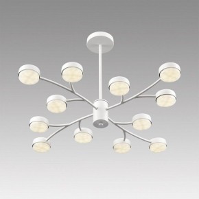 Люстра на штанге Lumion TORINA 8265/12 в Южноуральске - yuzhnouralsk.ok-mebel.com | фото 5
