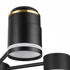 Люстра на штанге Lumion Virsava 8234/6C в Южноуральске - yuzhnouralsk.ok-mebel.com | фото 8