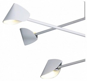 Люстра на штанге Mantra Capuccina 7570 в Южноуральске - yuzhnouralsk.ok-mebel.com | фото 4