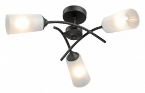 Люстра на штанге Vitaluce V2850 V2850-1/3PL в Южноуральске - yuzhnouralsk.ok-mebel.com | фото 2