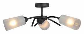 Люстра на штанге Vitaluce V2850 V2850-1/3PL в Южноуральске - yuzhnouralsk.ok-mebel.com | фото 3