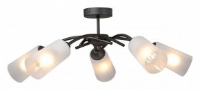 Люстра на штанге Vitaluce V2850 V2850-1/5PL в Южноуральске - yuzhnouralsk.ok-mebel.com | фото