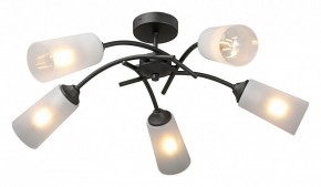 Люстра на штанге Vitaluce V2850 V2850-1/5PL в Южноуральске - yuzhnouralsk.ok-mebel.com | фото 2