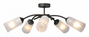 Люстра на штанге Vitaluce V2850 V2850-1/5PL в Южноуральске - yuzhnouralsk.ok-mebel.com | фото 3