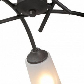 Люстра на штанге Vitaluce V2850 V2850-1/5PL в Южноуральске - yuzhnouralsk.ok-mebel.com | фото 6
